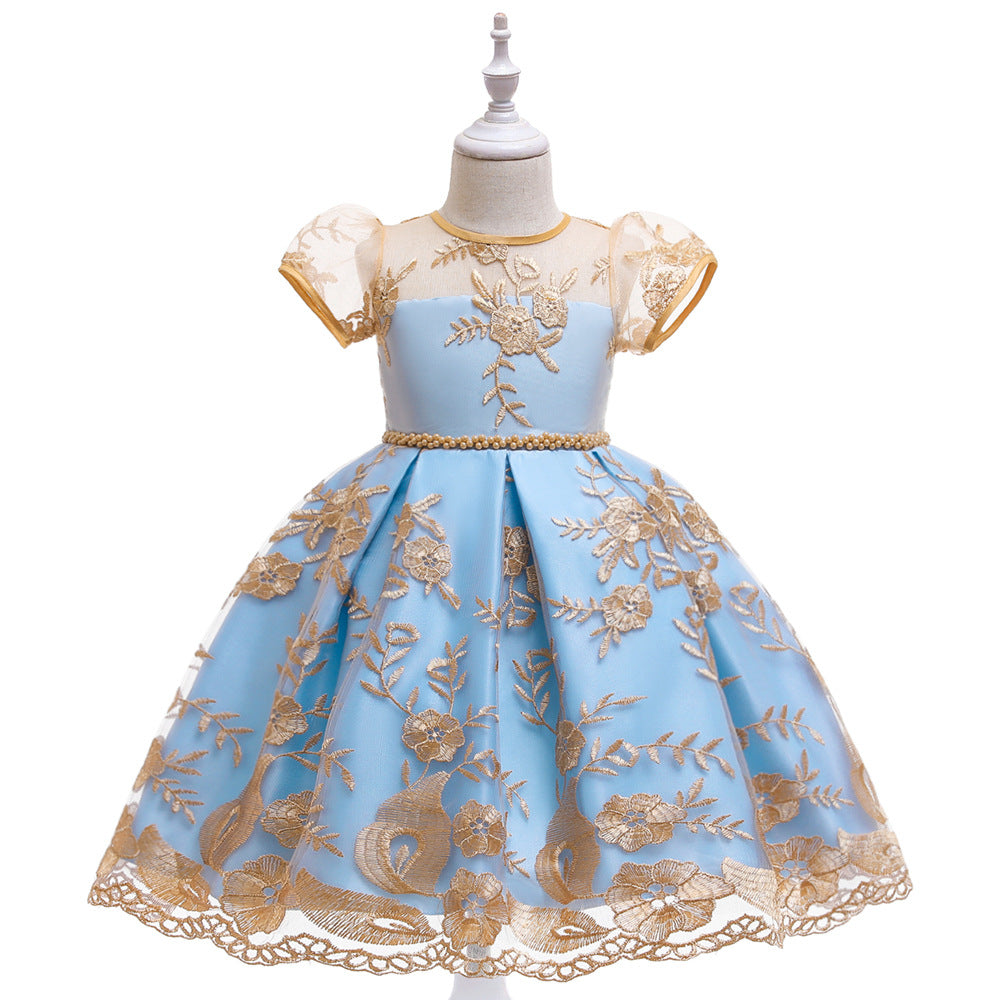Sky Blue & Champagne Gold Pincess Dress