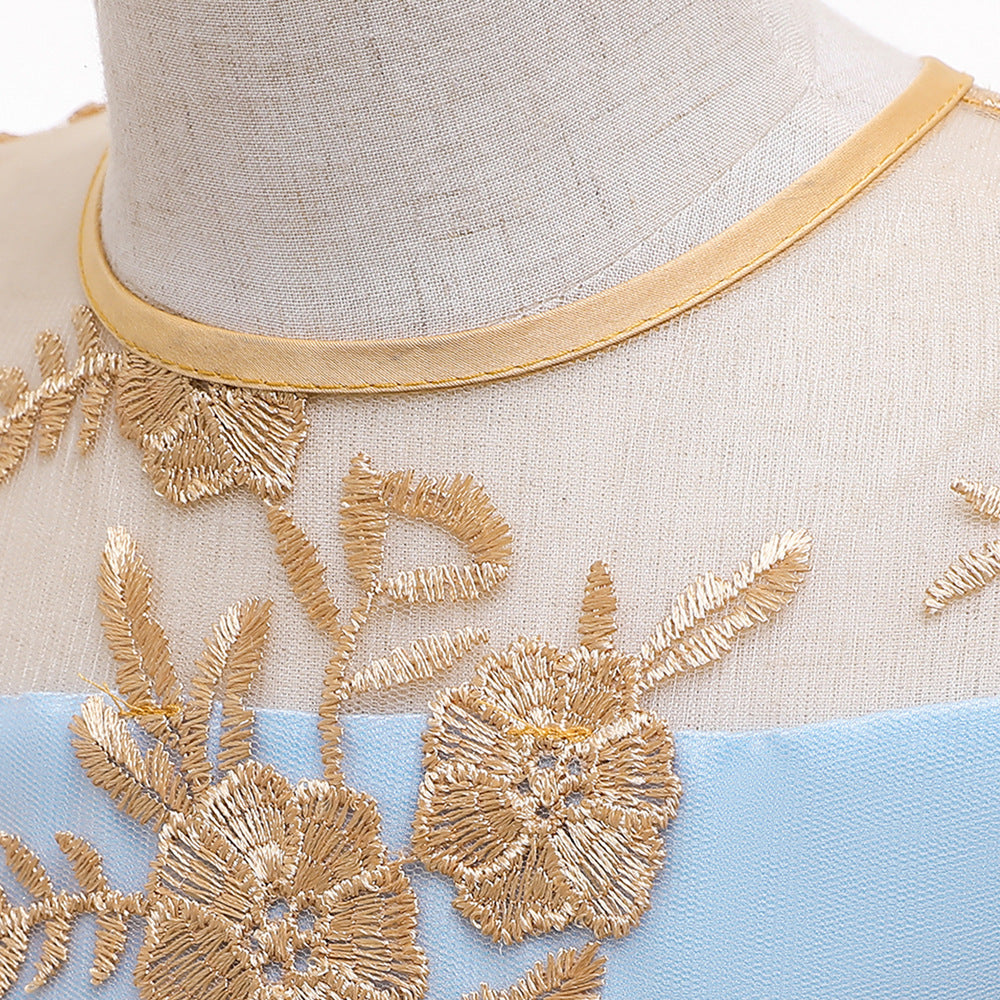 Sky Blue & Champagne Gold Pincess Dress